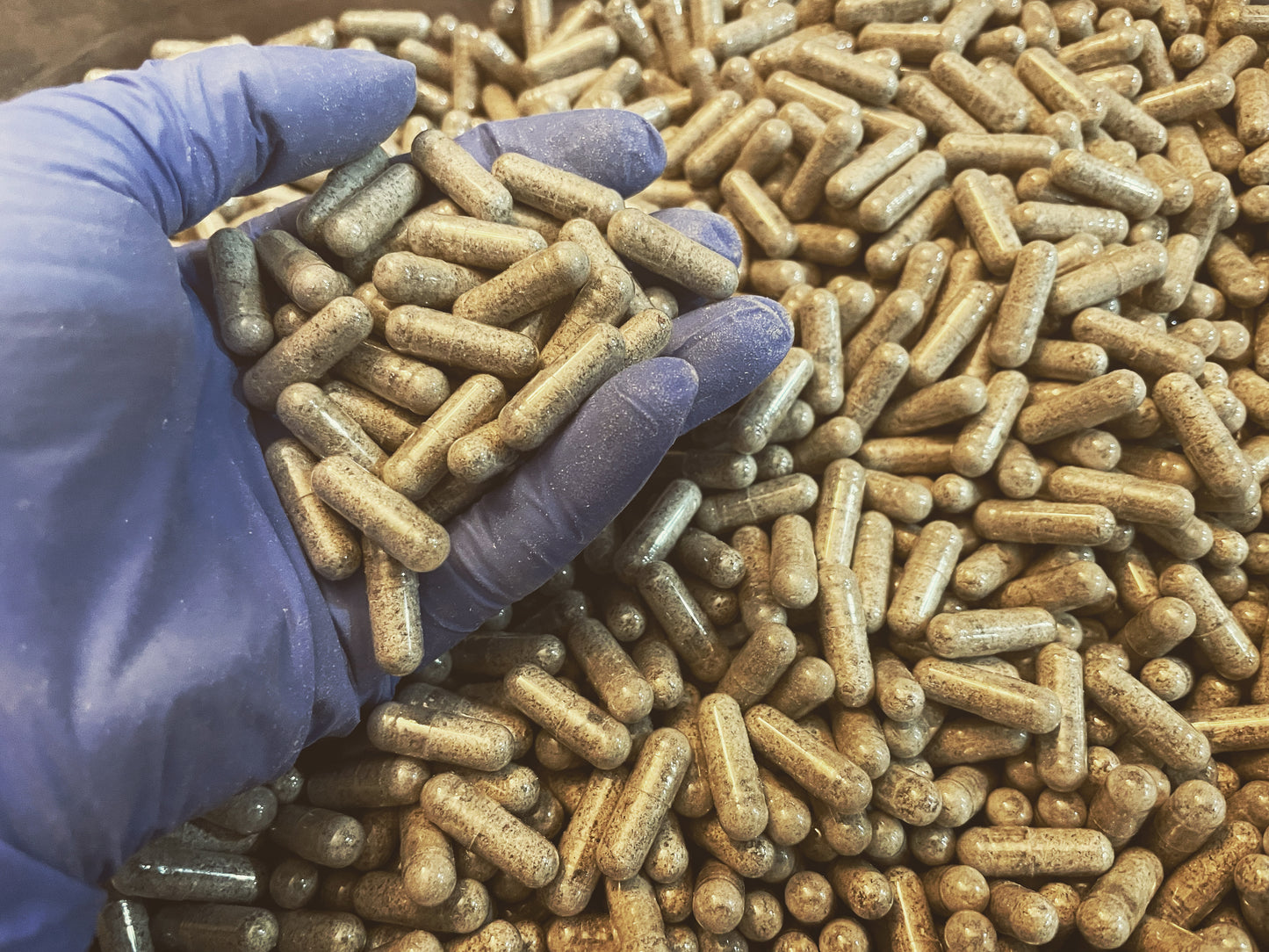 10G Micro Dose Capsules - Mushroom