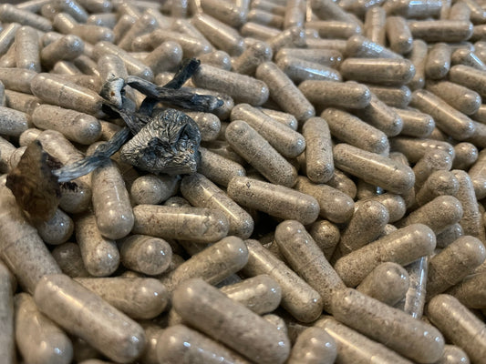 10G Micro Dose Capsules - Mushroom