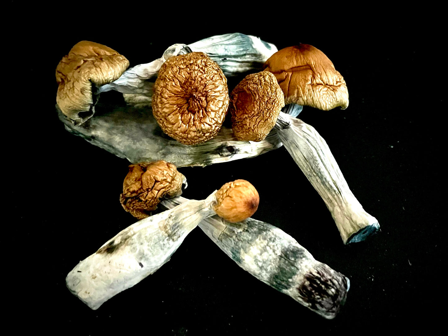 Raw Mushrooms