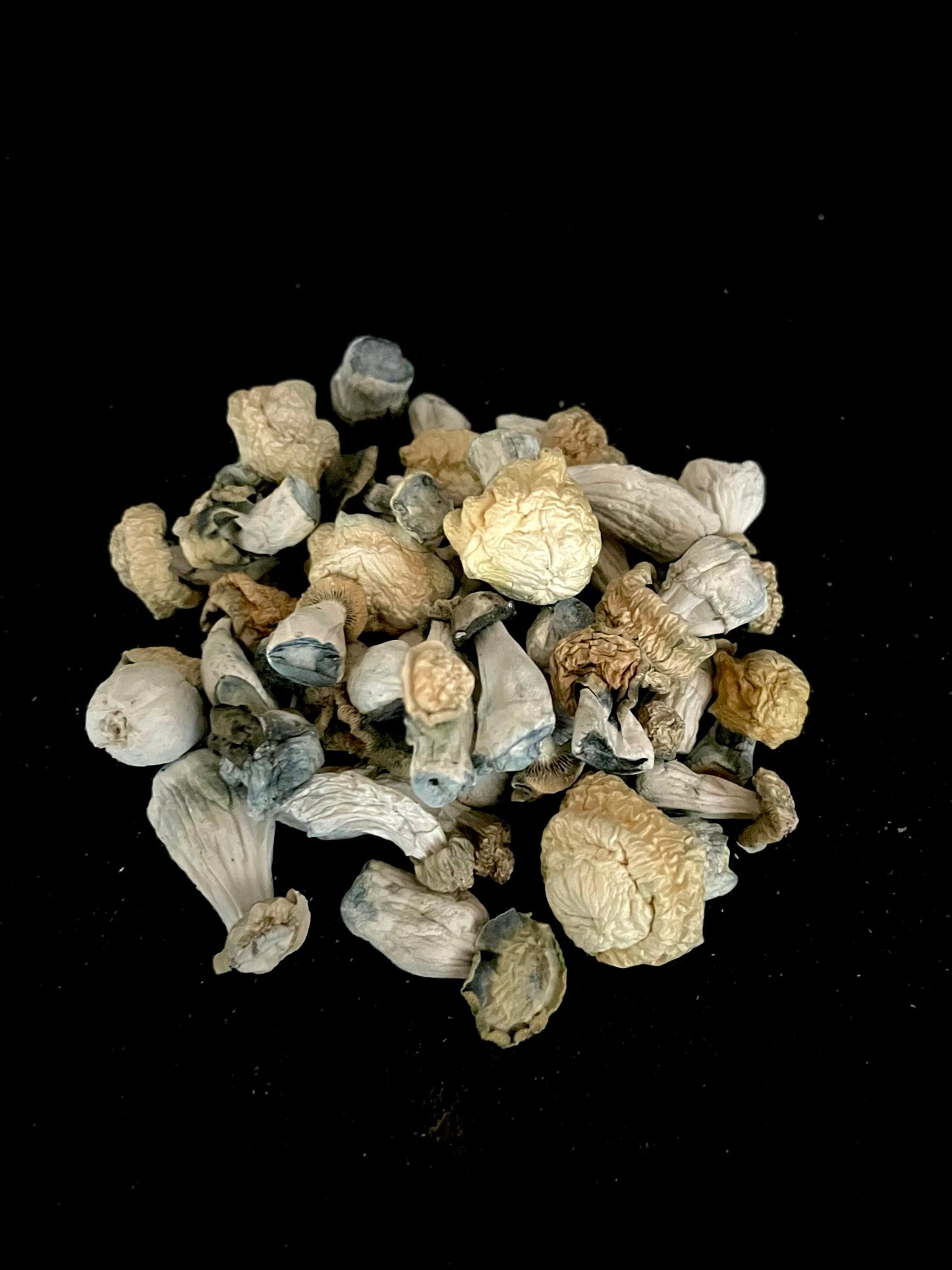 Raw Mushrooms