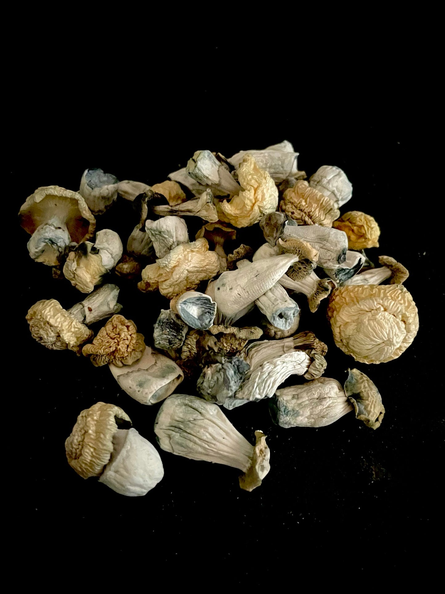 Raw Mushrooms